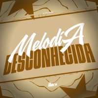 Melodia Desconhecida - Single - DJ Will da ms