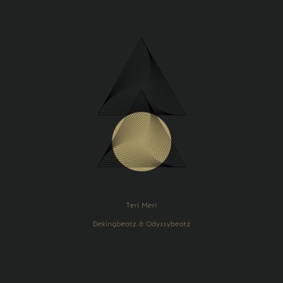 Teri Meri - Single
