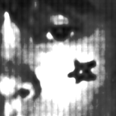 deadonarrvial - Single