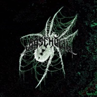 webweaver - Single - masehowl