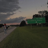 The Plains - Single - Lamont 865