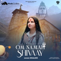 OM NAMAH SHIVAAY - Single - Shalini