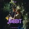 Habbit