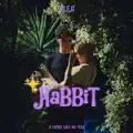 Habbit