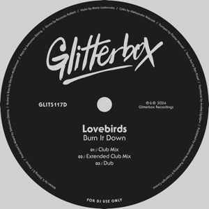 Burn It Down (Remixes) - Single