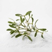 Under the Mistletoe (feat. Bishop Toussaint, Kleo & Marianthi Olympia) - Single - Matty Owens