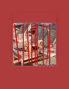 8 y Medioを聴いたり、ミュージックビデオを鑑賞したり、経歴やツアー日程などを確認したりしましょう！