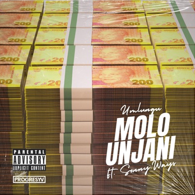 MOLO UNJANI (feat. Sonny.Ways) - Single