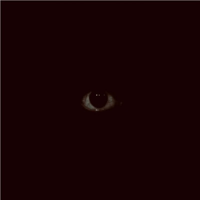 Zo - Single