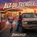 Alt Du Trenger