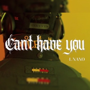 Can't Have You