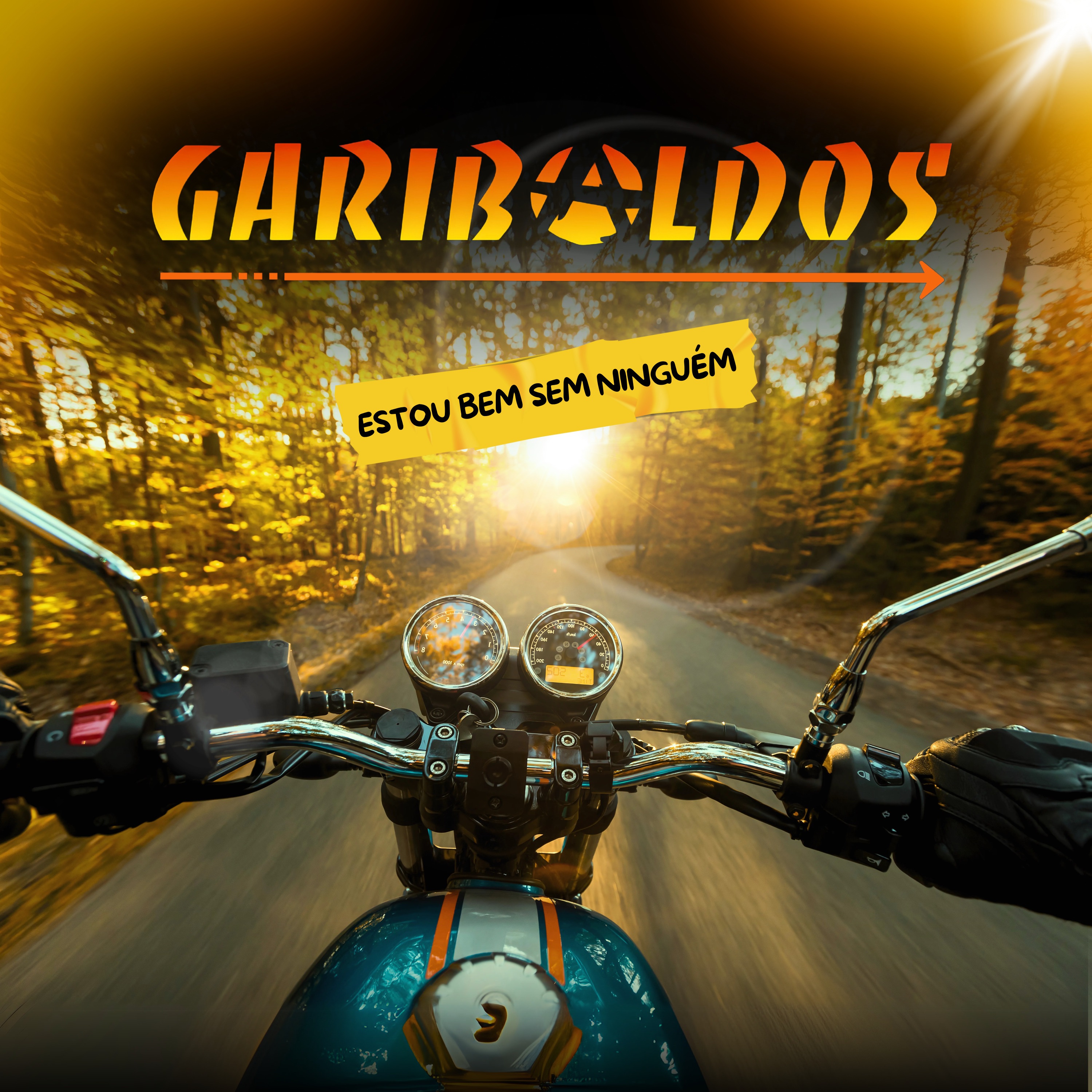 Estou Bem Sem Ninguém - Single