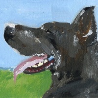 Great Dane (feat. Fatboi Sharif) - Single - Duncecap & Samurai Banana