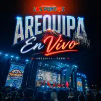 Traicionera — Los Puntos del Amor
