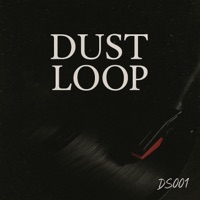 DUST LOOP - Single - Diggin' Sound