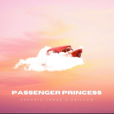 Passenger Princess - Single