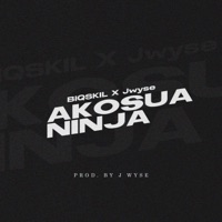 Akosua Ninja (feat. J.wyse) - Single - BIQSKIL