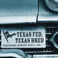 Texas In 1880