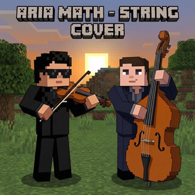 Aria Math (feat. Landon Bassier) [Double Bass & Violin Cover]
