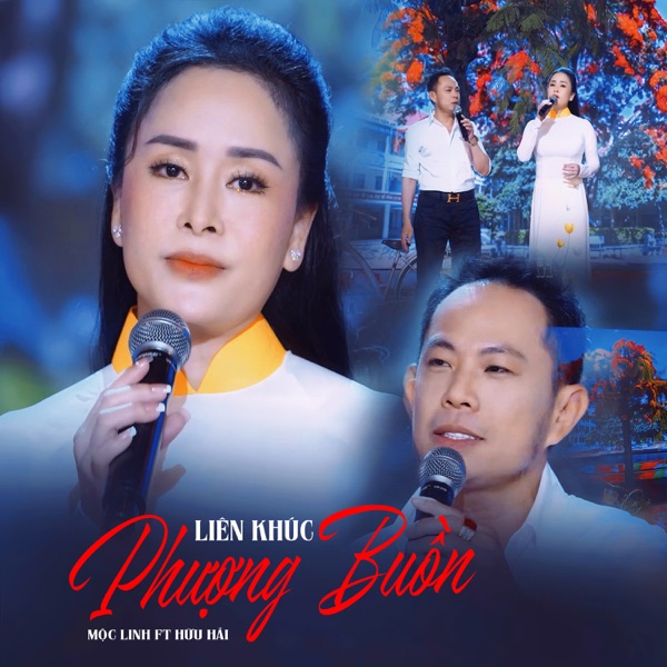 Liên Khúc / Phượng Buồn (feat. Hữu Hải)