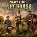 Smell of wet grass