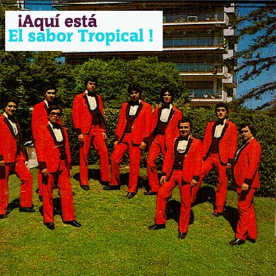 Aquí esta el sabor tropical