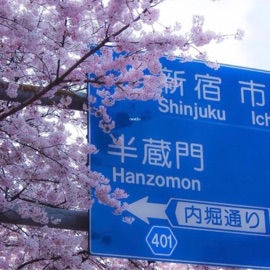 next2u (feat. lephina) elyzn