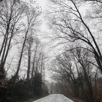 soul scars. - GONEFUBAR