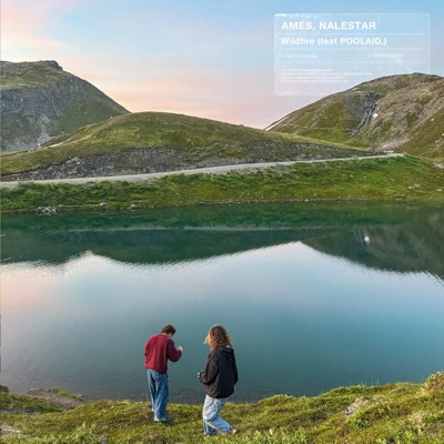 Wildfire (feat. POOLAID.) - Single