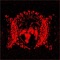 Mors Cordis Cruentis - Polipob lyrics