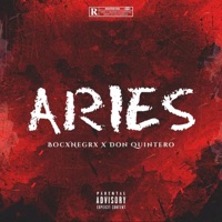 Aries (feat. Don Quintero) - Single - BocxnegrX