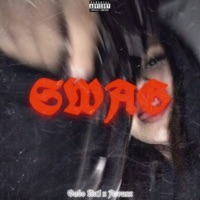 Swag (feat. Acruxx) - Single - Gabo Nu1