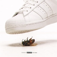 BEEHAVE - Single - Chip