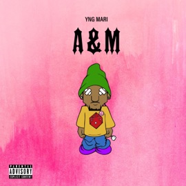 A&M YNG Mari