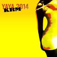 YAYA.2014 - Single - KRM