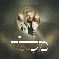 Melech - מלך - Single - Zrilly Werzberger