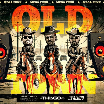 DJ Thiago PR, DJ Paludo & DJ PEDRO MARTINS - MEGA OLD TOWN