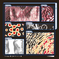 Worms In - Single - Saapato & Laraaji