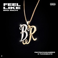 Feel Like Big Rich - Single - PaypachasaMeez & TuckBeatz
