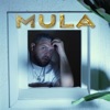 Mula - Single