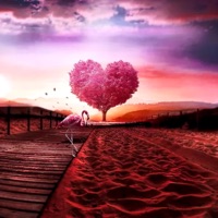 Dragostea Învinge Minciuna - Single - Gato