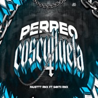 Perreo Cosculluela 4 (feat. S4NTII RMX) - Single - Fausttt rmx