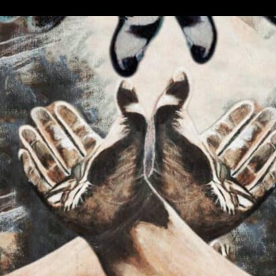 let go see light - EP