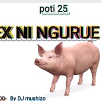 Ex Ni Nguruwe (Radio Edit) - Single - Poti
