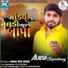 Shaher Mandvi Ni Meldi Avje Bapa - Single