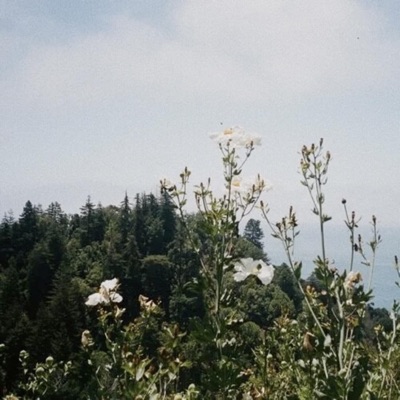 Simple Lumin / Oakomoka's Blessing - Single