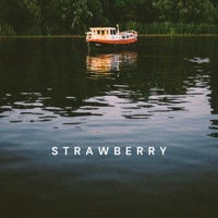 Strawberry - Single - Tom Doolie