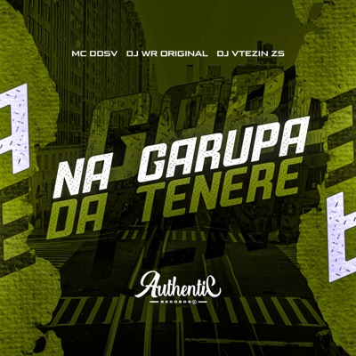 Na Garupa da Tenere - Single