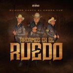 Andamos En El Ruedo