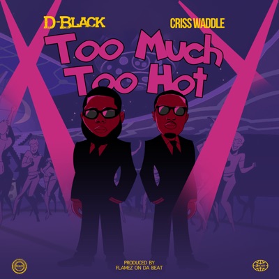 Too Much Too Hot - Single